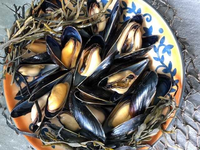 Maine Raft Mussels - 5 lb. Bag